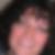 Photo de profil de Amandine Coustal