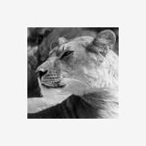 Photo de profil de Laure Line