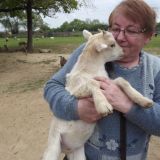Photo de profil de marie france tastin