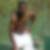 Photo de profil de Philippe Limery