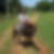 Photo de profil de Max Carmona