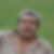Photo de profil de Laurent Bouquet