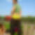 Photo de profil de Thomas Thevenin