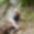 Photo de profil de Jean Claude Thobie