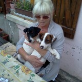Photo de profil de Sylviane Lebon