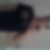 Photo de profil de Sebastien Laisne