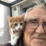 Photo de profil de Noel Robert
