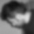 Photo de profil de David Petiot