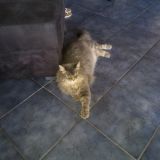 Photo de profil de Marie Line Sanchez
