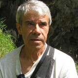 Photo de profil de Pedro Lozano