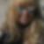Photo de profil de Valerie Boisard Boulan