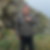 Photo de profil de Stephane Le Borgne
