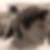 Photo de profil de Mallet Catherine