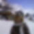 Photo de profil de Elisabeth Thelisson