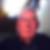 Photo de profil de Georges Callens