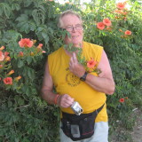 Photo de profil de Alain Prat