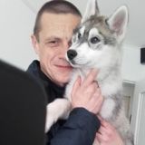 Photo de profil de Stephane Delacroix