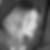 Photo de profil de Anne-Sophie Coulon