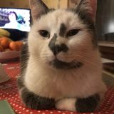 Photo de profil de Jean Luc Fournier