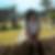 Photo de profil de Langlais Christine