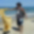 Photo de profil de Sebastien Destoppeleire
