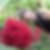 Photo de profil de Marc Laborde