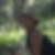 Photo de profil de Marie-Christine Monnin