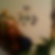 Photo de profil de Lenoir Catherine