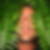 Photo de profil de Frederic Vermot