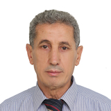 Photo de profil de Mohamed Boudamous