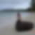 Photo de profil de Fabienne Cousin
