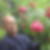 Photo de profil de Michel Riviere