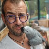 Photo de profil de Sebastien Hauguel