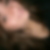 Photo de profil de Florence Provost
