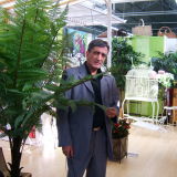Photo de profil de Selim Zedira