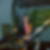 Photo de profil de Jacques Fouet