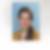 Photo de profil de Stéphanie Roux