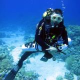 Photo de profil de Marc Thomas