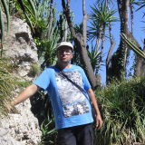 Photo de profil de Pascal Martin