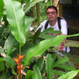 Photo de profil de Pascal Brossard