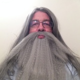 Photo de profil de Philippe Brocard