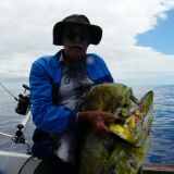Photo de profil de Lionel Petit