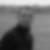 Photo de profil de Thomas Berryer