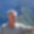 Photo de profil de Jean-Jacques Ducret