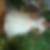 Photo de profil de Lucette Dumontier