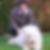 Photo de profil de Anne Marie Godfroy