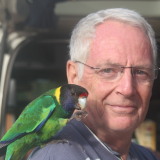 Photo de profil de Dominique Pierre