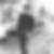Photo de profil de Gerard Costes