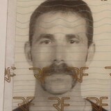 Photo de profil de Philippe Renard