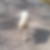 Photo de profil de Sebastien Beurrier